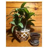 Ceramic Planters and Faux Plantï¿½7ï¿½16