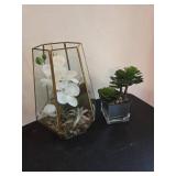 Glass Terrarium and Succulent Set