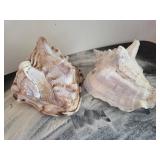 Two Large Decorative Shells