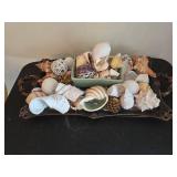 Decorative Seashell and Tray Set