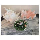 Sea Glass Bowl With Large Shells