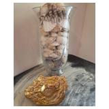 Tall Glass Vase with Shells and Dish