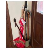 Canes and Umbrellas Collection
