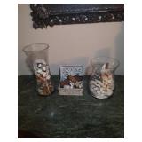 Collection of Shells & More
