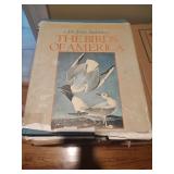 Audobon Birds of America Vol 1