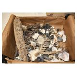 Small Tote of Various Ocean Life