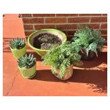 Decorative Planters with Plants