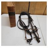 Illustrated American Stock Book