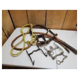 Equestrian Tack Accessories Lot