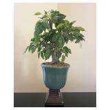 Bonsai Tree in Glazed Ceramic Planter 18ï¿½ï¿½