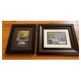 Two Framed Nature Photographs
