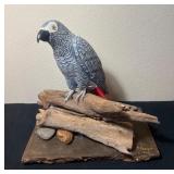 African Grey Parrot Sculpture 13.5ï¿½ï¿½x9ï¿½ï¿½x13ï¿½ï¿½