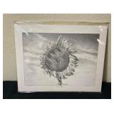 Vtg Marilyn W Lake Sunflower Print 12ï¿½ï¿½x10ï¿½ï¿½