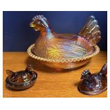 Merigold Hen on nest