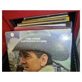 Collection of Vinyl Records #2