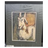 Stylized portrait of a goat