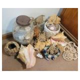 Seashells and Sea Decor