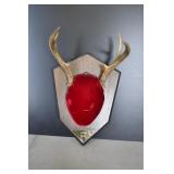 Pair of Mounted Deer Antlers