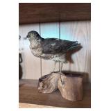 Taxidermy Bird on Wooden Base Display