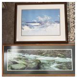 Framed Nature Prints