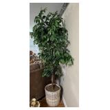 Artificial Ficus Tree in Wicker Pot