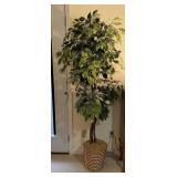 Artificial Ficus Tree in Basket Planter