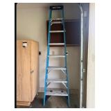 8' Werner Stepladder