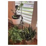 Decor Accents and Faux Plants