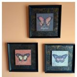 Framed Butterfly Decor
