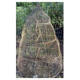 Ornate Metal Bird Cage