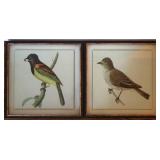 Framed Bird Decorative Prints