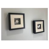 Framed Shell Art Pieces 8.5ï¿½ï¿½x8.5ï¿½ï¿½