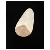 Amazon Pirarucu Scale from Arapaima Fishï¿½2ï¿½2.25