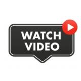 AUCTION VIDEO