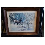 Elk Wildlife Art Print Tom Beecham