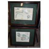 Pair of Hawaiian Island Art Prints