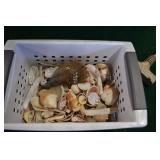 Small Basket of Sea Shells