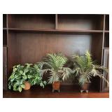 Artificial Plants Trio on Display