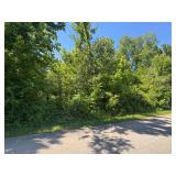 0 Balboa Dr - Rockwood, TN .45 acres