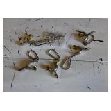 Lot of 5 New Spur Keychains