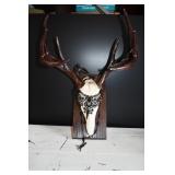 Mounted Compoite Deer Decorated Skull