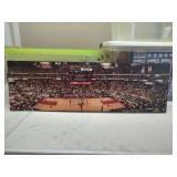 Chicago Bulls Basketball Court Print