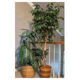Artificial Plants in Wicker Baskets