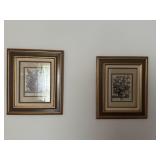 Set of 2 Framed Botanical Floral Prints