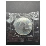 Canadian Maple Leaf Silver Coin