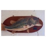Mounted Largemouth Bass Taxidermy