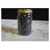 Small Jar Full of Shark Teeth