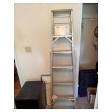 Caprum Type III Steel Ladder