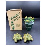 Ceramic Naughty Frogs and Faux Plant Set