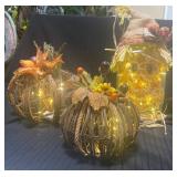 Fall-Themed Lighted Decorations With Scarecrow and